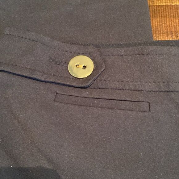 Ladies Ann Taylor Lindsey Dress Pant Size 12 Business Casual - Picture 2 of 6